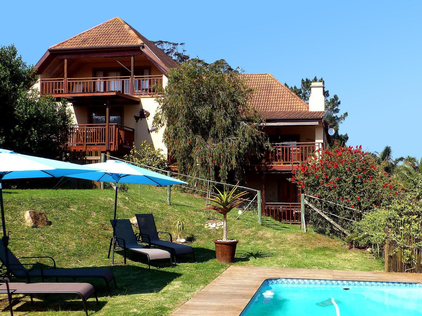 Panorama Lodge Hunters Home Knysna Western Cape South Africa Complementary Colors, House, Building, Architecture, Swimming Pool