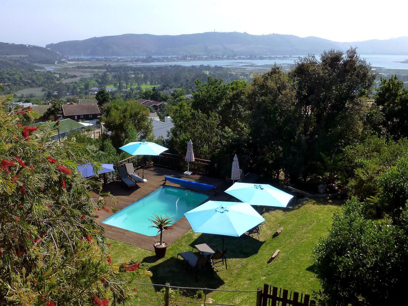 Panorama Lodge Hunters Home Knysna Western Cape South Africa Palm Tree, Plant, Nature, Wood, Swimming Pool