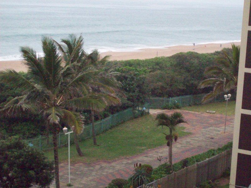 Panoramic Beach And Sea View Amanzimtoti Kwazulu Natal South Africa Beach, Nature, Sand, Palm Tree, Plant, Wood