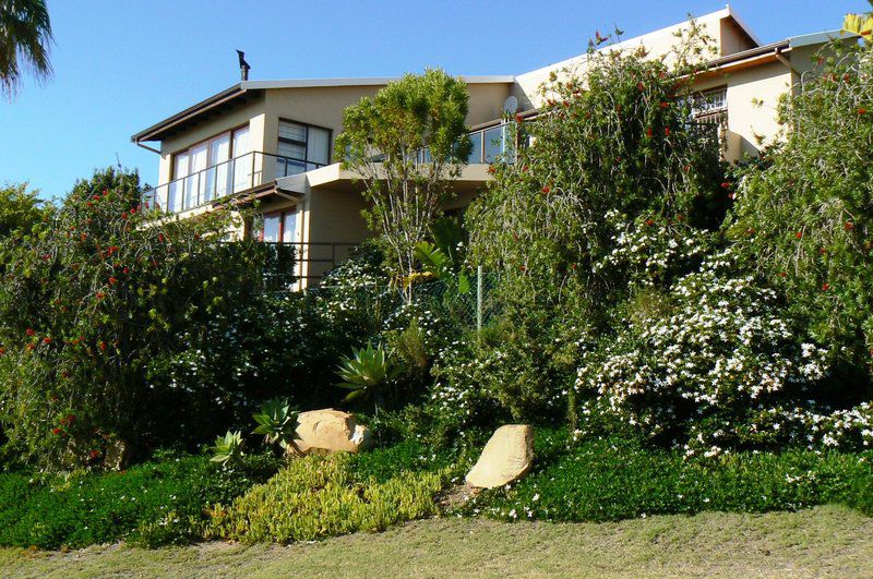Panoramic Blue Bandb Plettenberg Bay Western Cape South Africa House, Building, Architecture, Palm Tree, Plant, Nature, Wood, Garden