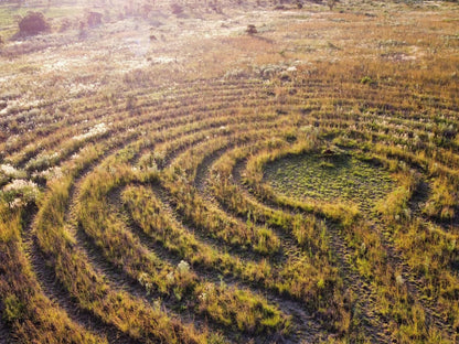 Pan'S Breeze Overnight Accommodation, Field, Nature, Agriculture, Aerial Photography