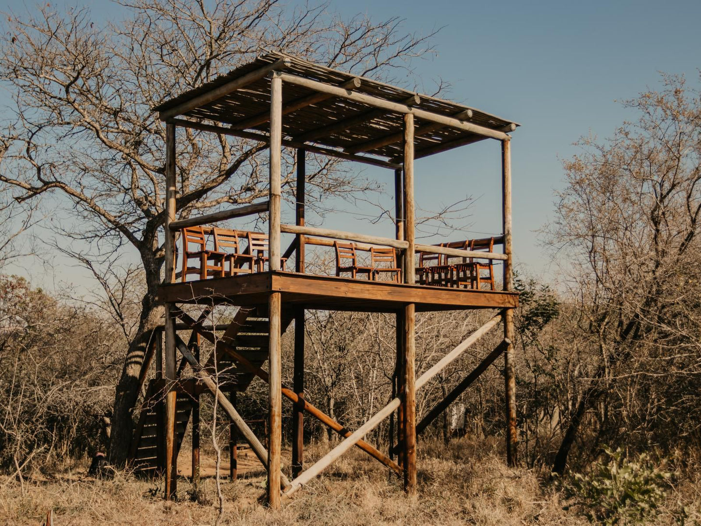 Panzi Lodge Thornybush Game Reserve Mpumalanga South Africa 