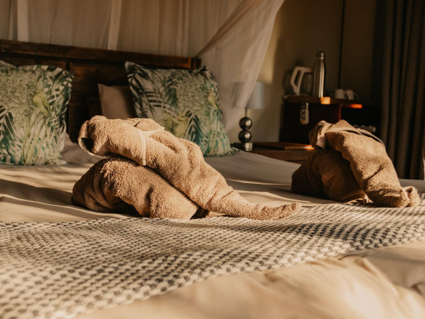 Panzi Lodge Thornybush Game Reserve Mpumalanga South Africa Sepia Tones, Bedroom