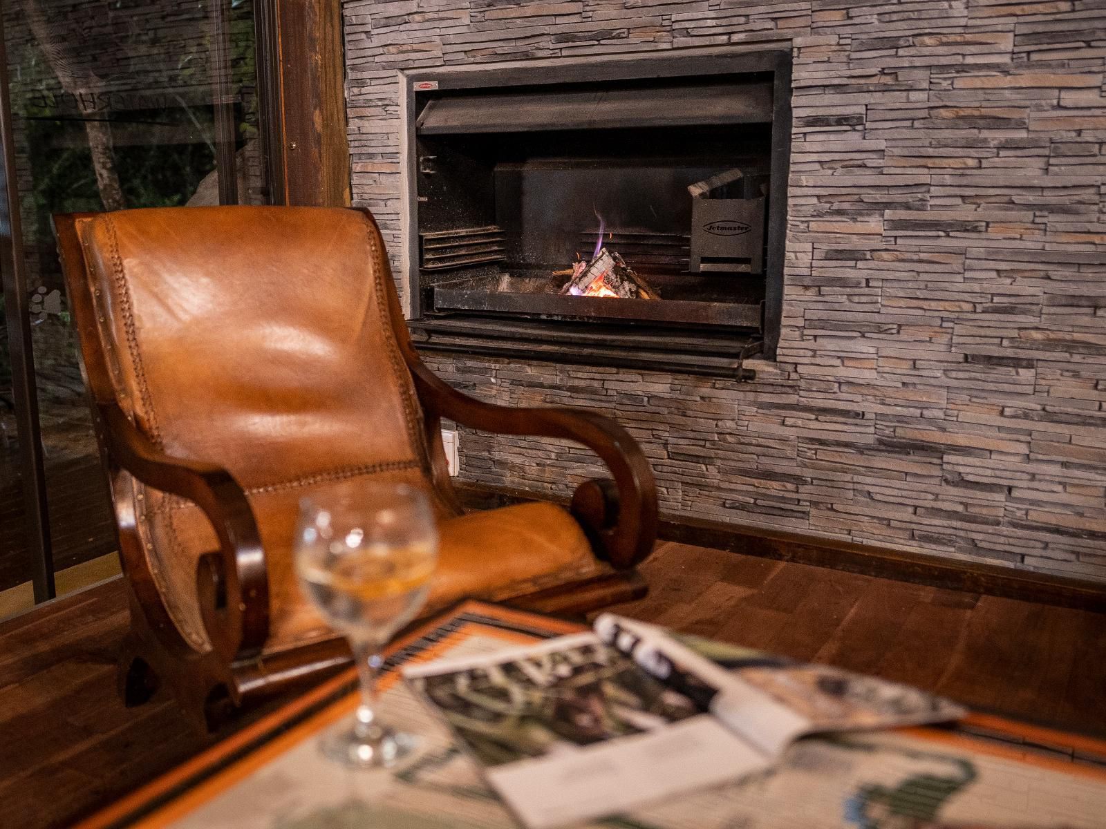 Panzi Lodge Thornybush Game Reserve Mpumalanga South Africa Fire, Nature, Fireplace, Living Room
