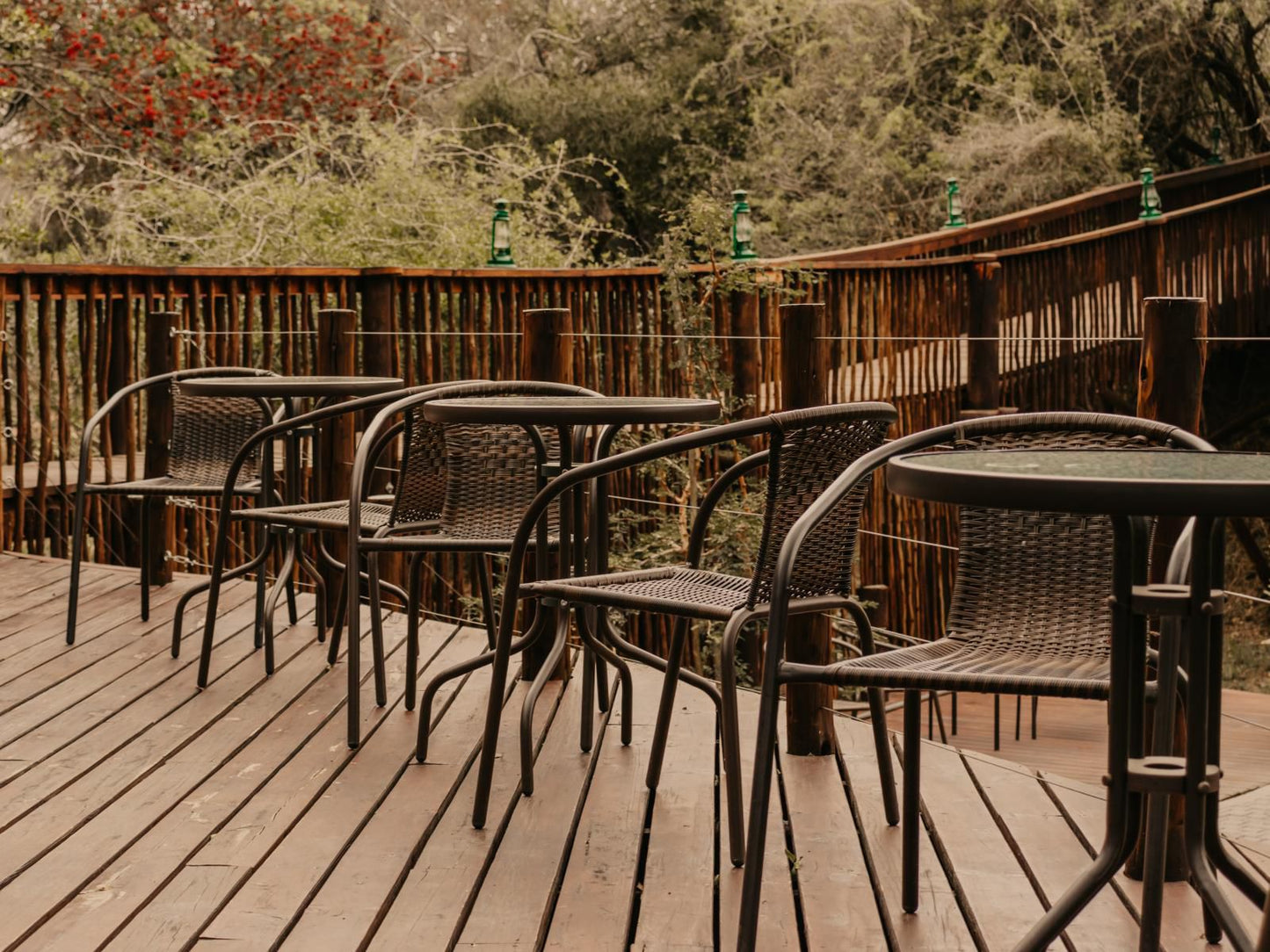 Panzi Lodge Thornybush Game Reserve Mpumalanga South Africa Sepia Tones