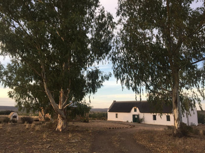 Papkuilsfontein Guest Farm Nieuwoudtville Northern Cape South Africa Barn, Building, Architecture, Agriculture, Wood, Tree, Plant, Nature, Desert, Sand, Lowland