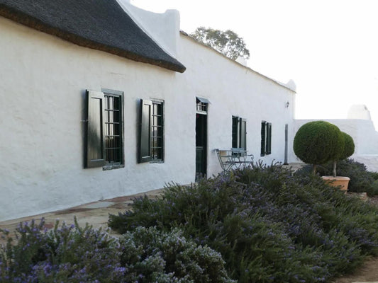 Papkuilsfontein Guest Farm Nieuwoudtville Northern Cape South Africa Unsaturated, Building, Architecture, House