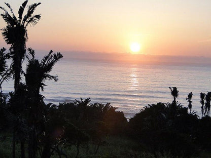 Par La Mer Leisure Bay Port Edward Kwazulu Natal South Africa Beach, Nature, Sand, Palm Tree, Plant, Wood, Sky, Sunset