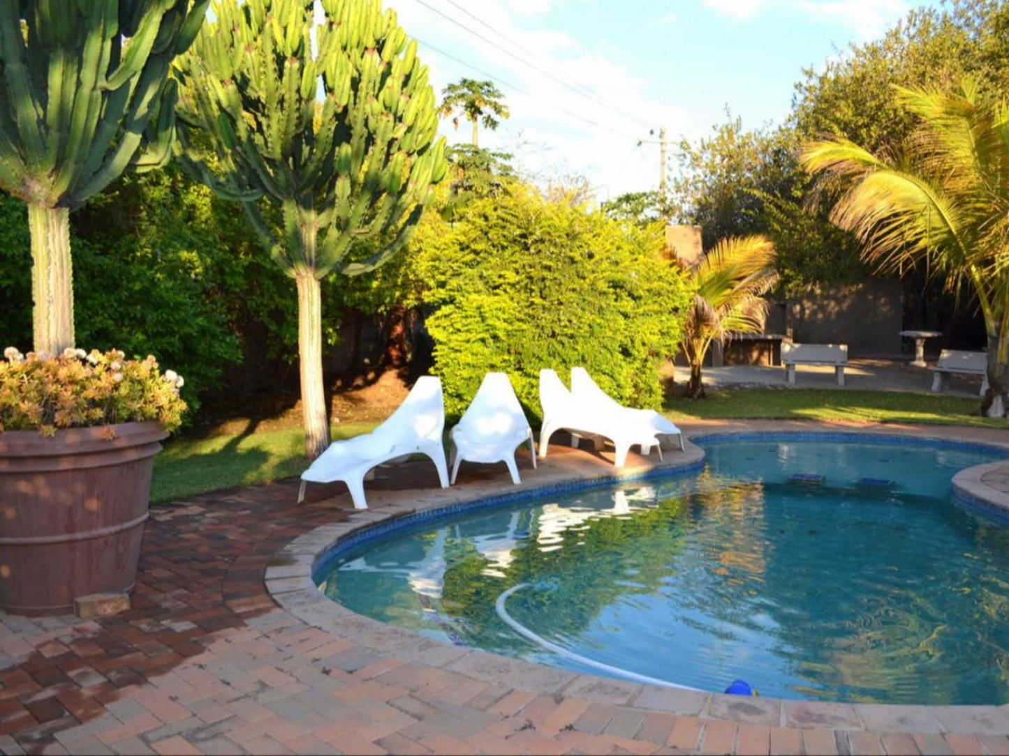 Paradise Creek Lodge, Palm Tree, Plant, Nature, Wood, Garden, Swimming Pool