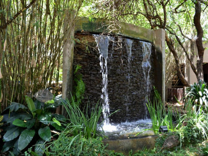 Paradise Creek Lodge, Waterfall, Nature, Waters, Garden, Plant