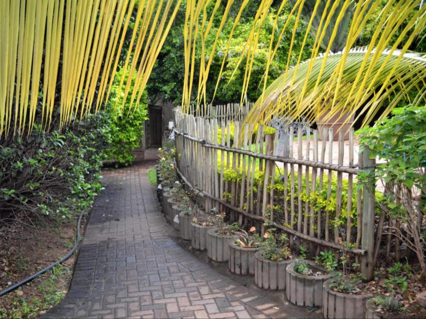 Paradise Creek Lodge, Plant, Nature, Garden