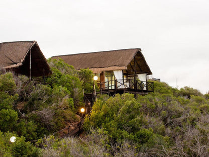 Paradise Dunes, Building, Architecture