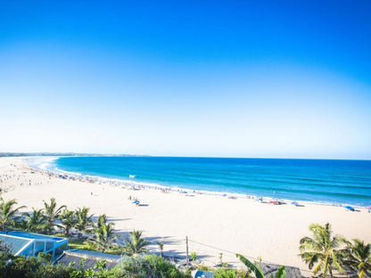 Paradise Dunes, Colorful, Beach, Nature, Sand, Palm Tree, Plant, Wood, Ocean, Waters