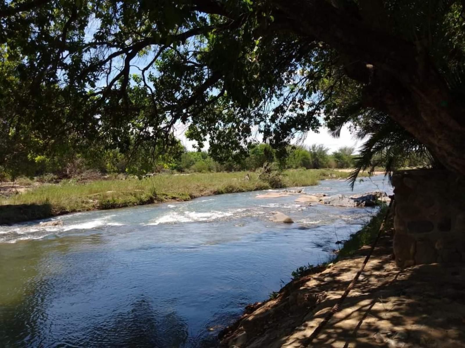 Paradise River Lodge, River, Nature, Waters, Tree, Plant, Wood