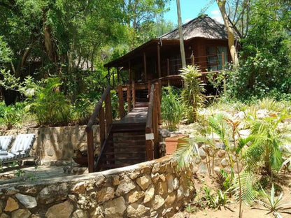 Paradise River Lodge, Palm Tree, Plant, Nature, Wood