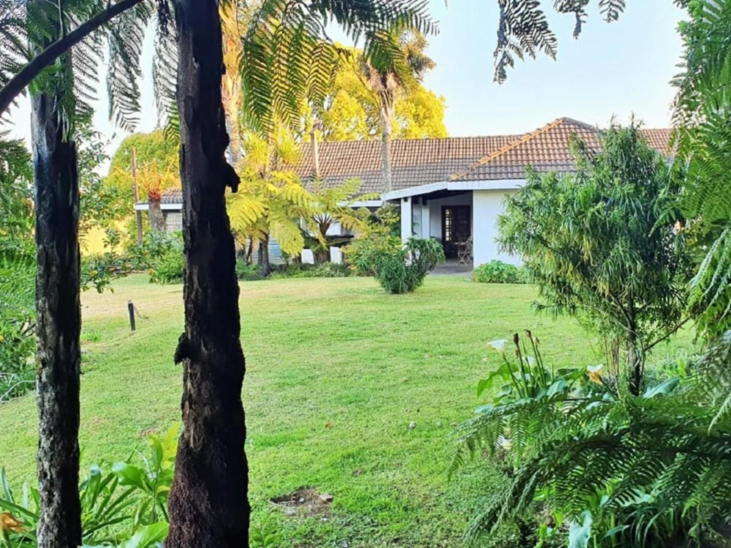 Paradise View Guesthouse Graskop Mpumalanga South Africa House, Building, Architecture, Palm Tree, Plant, Nature, Wood