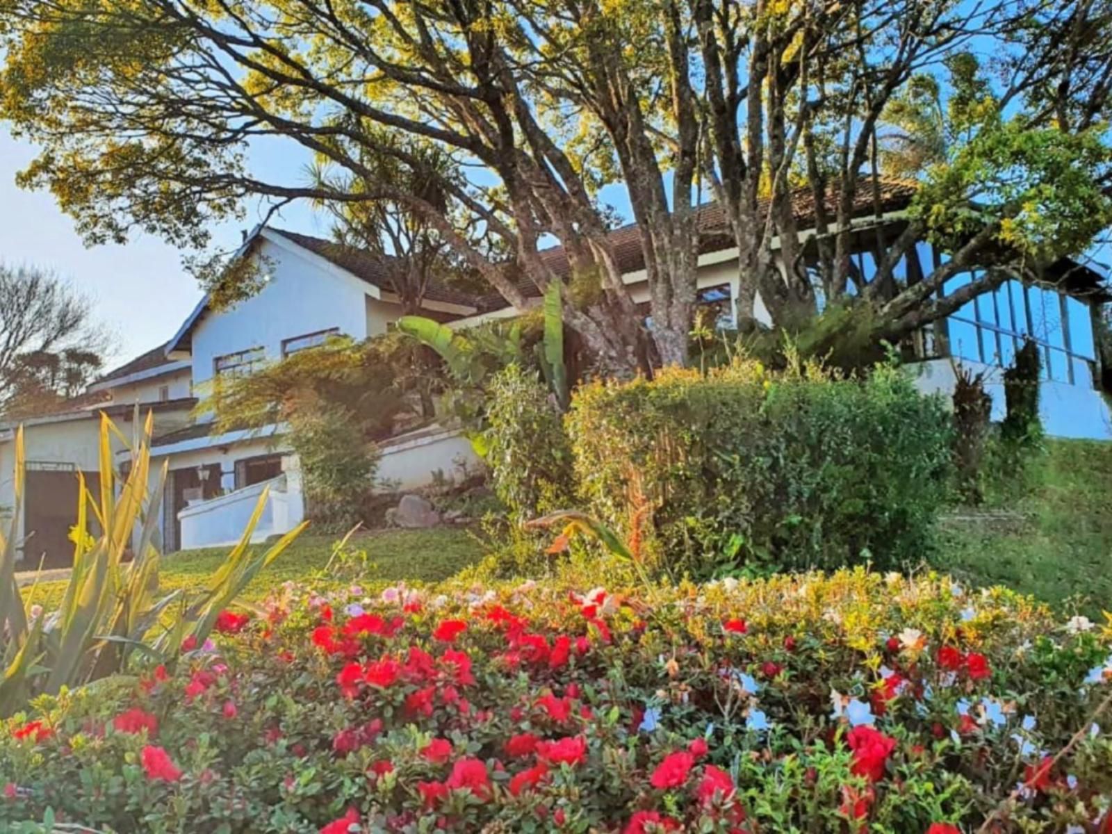 Paradise View Guesthouse Graskop Mpumalanga South Africa House, Building, Architecture, Palm Tree, Plant, Nature, Wood, Garden