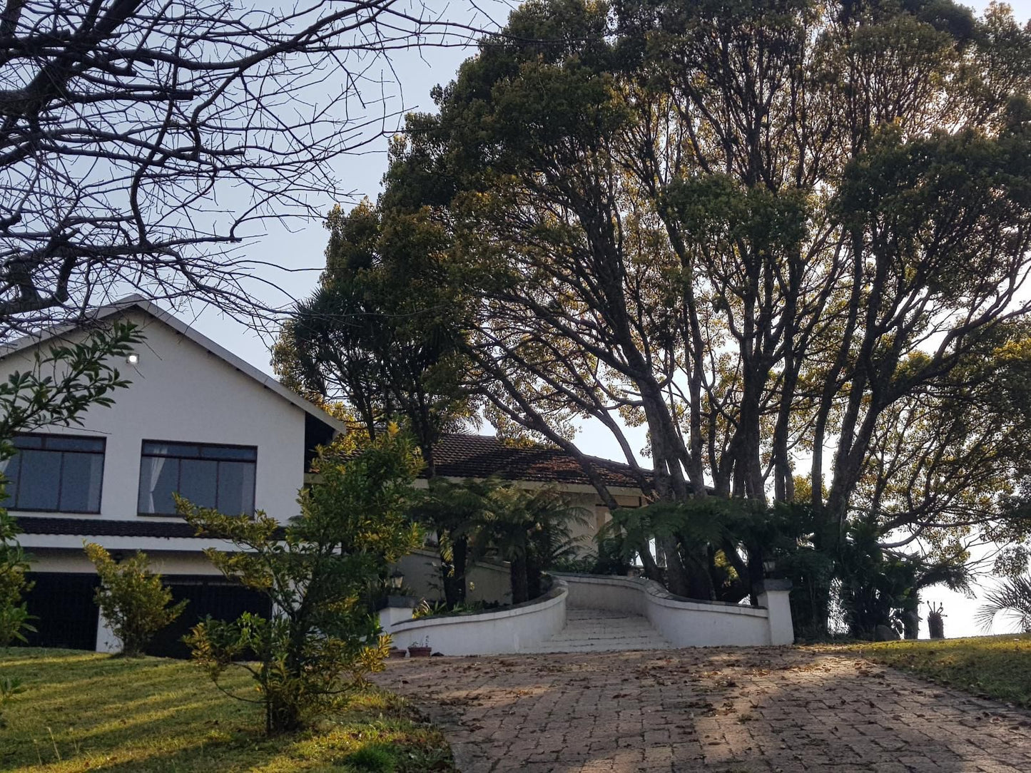 Paradise View Guesthouse Graskop Mpumalanga South Africa House, Building, Architecture, Plant, Nature, Tree, Wood