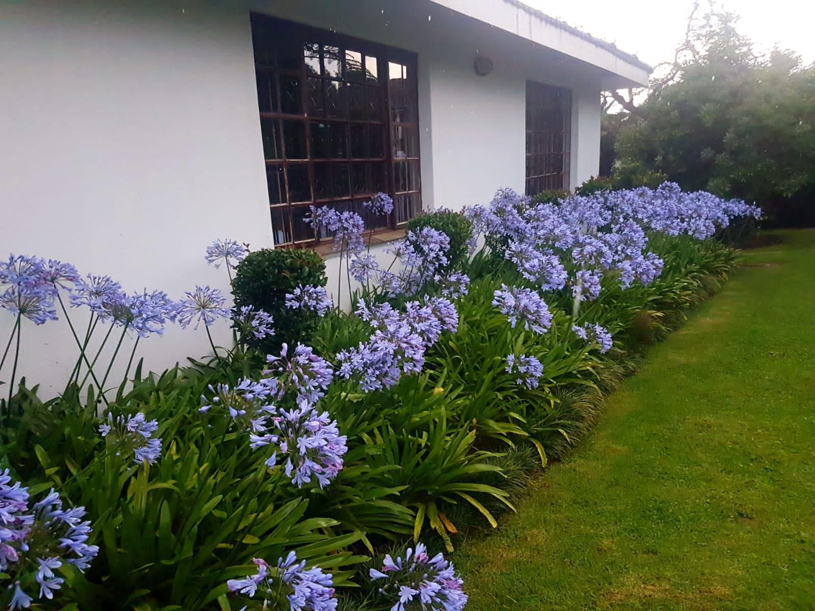 Paradise View Guesthouse Graskop Mpumalanga South Africa House, Building, Architecture, Plant, Nature, Garden