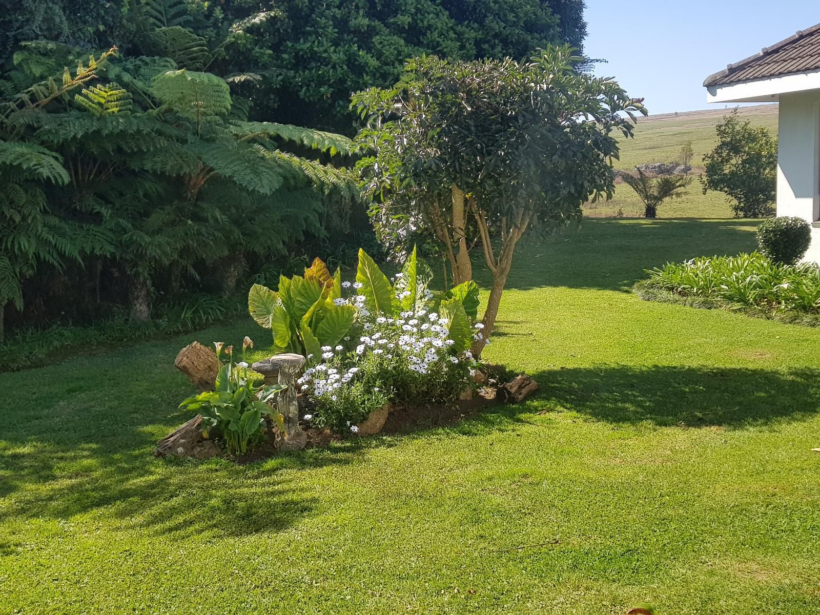 Paradise View Guesthouse Graskop Mpumalanga South Africa Plant, Nature, Garden