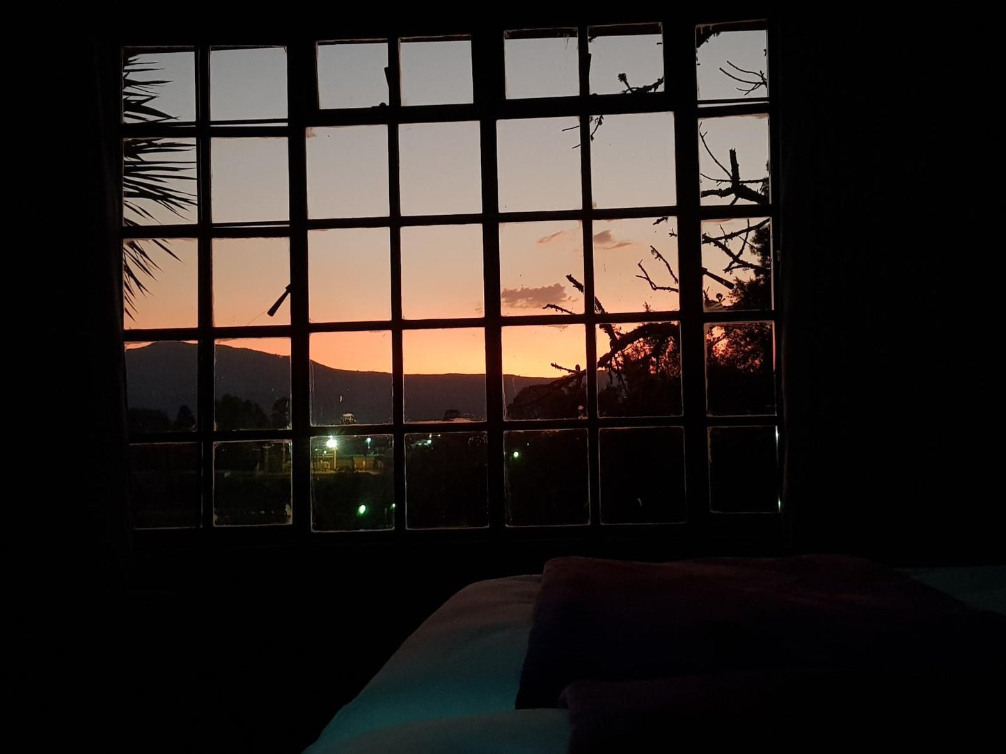 Paradise View Guesthouse Graskop Mpumalanga South Africa Palm Tree, Plant, Nature, Wood, Framing, Sunset, Sky