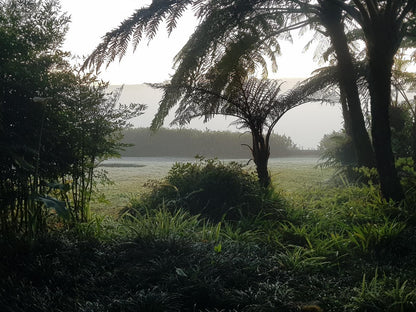 Paradise View Guesthouse Graskop Mpumalanga South Africa Fog, Nature, Palm Tree, Plant, Wood, Tree
