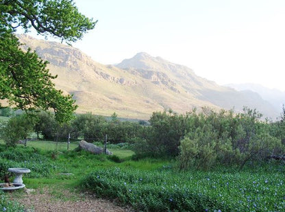 Paradise Cottage Franschhoek Western Cape South Africa Mountain, Nature, Highland