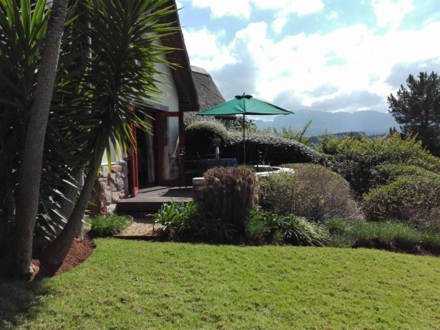 Paradise Cove Country House Victoria Heights Victoria Bay Western Cape South Africa Palm Tree, Plant, Nature, Wood, Garden