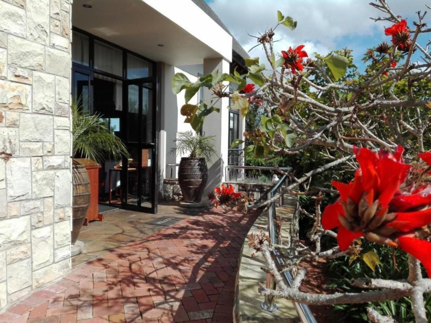 Paradise Cove Country House Victoria Heights Victoria Bay Western Cape South Africa Palm Tree, Plant, Nature, Wood, Garden