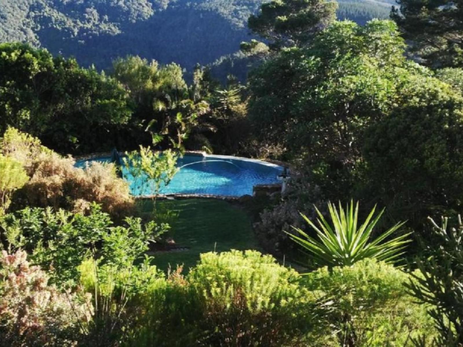 Paradise Cove Country House Victoria Heights Victoria Bay Western Cape South Africa Garden, Nature, Plant, Swimming Pool