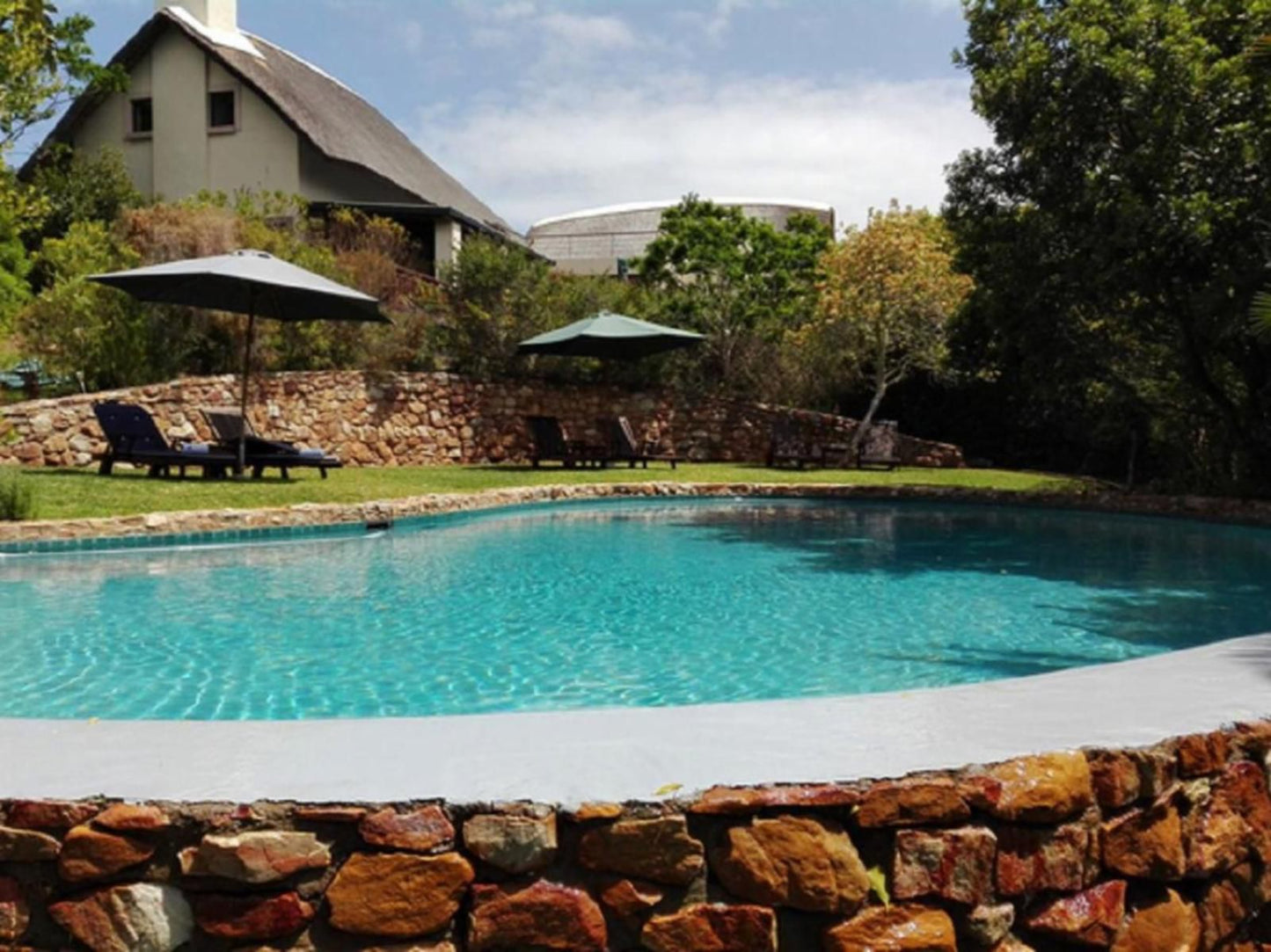 Paradise Cove Country House Victoria Heights Victoria Bay Western Cape South Africa Complementary Colors, Swimming Pool