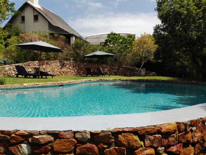 Paradise Cove Country House Victoria Heights Victoria Bay Western Cape South Africa Complementary Colors, Swimming Pool