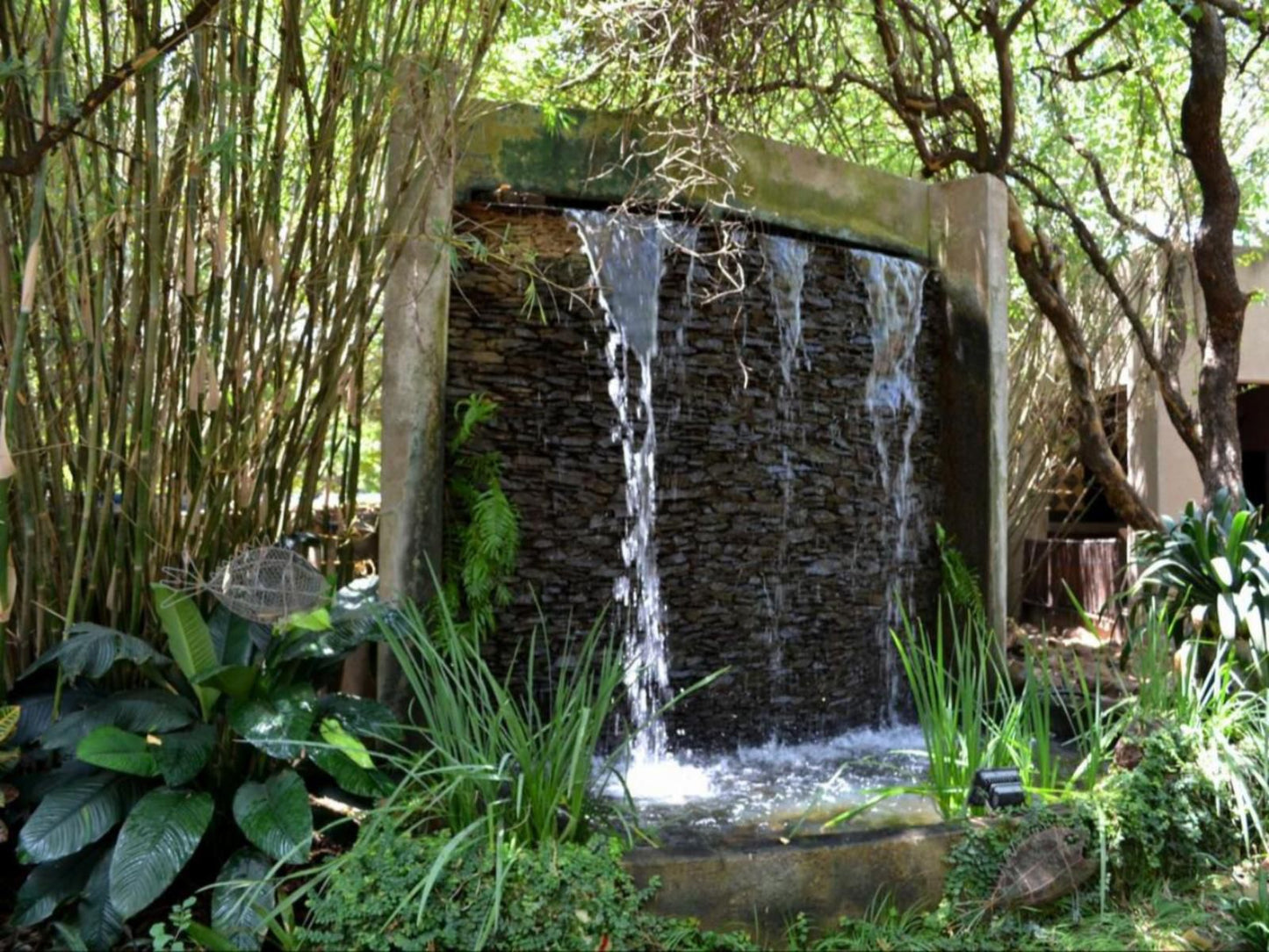 Paradise Creek Malelane Mpumalanga South Africa Waterfall, Nature, Waters, Garden, Plant
