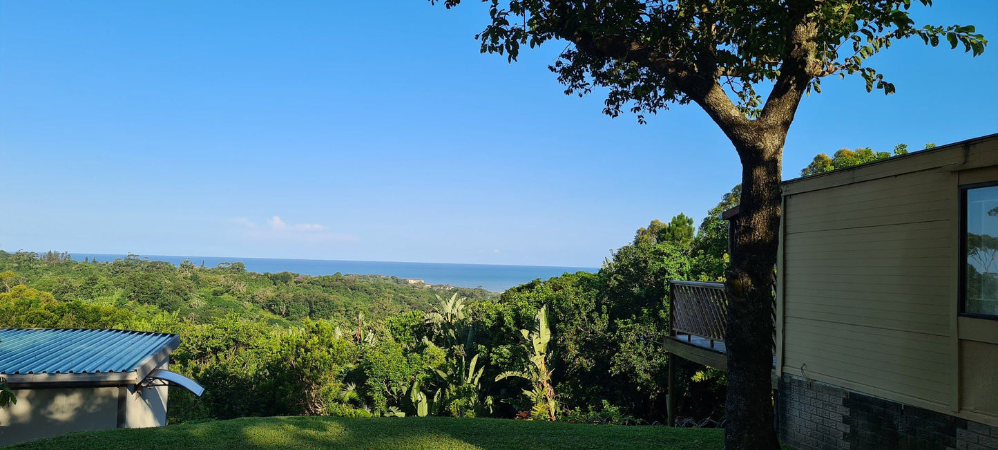 Paradise Holiday Resort Southbroom Kwazulu Natal South Africa Beach, Nature, Sand, Palm Tree, Plant, Wood, Framing, Garden