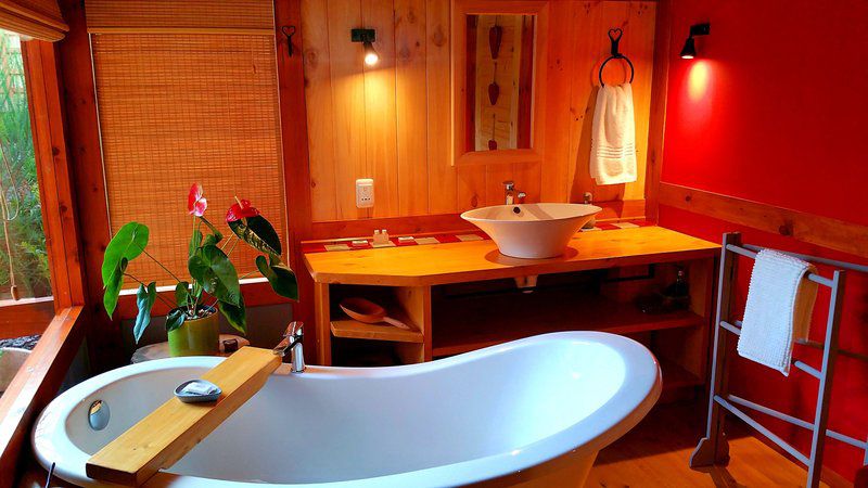 Paradise Private Zen Studios Paradise Knysna Western Cape South Africa Colorful, Sauna, Wood