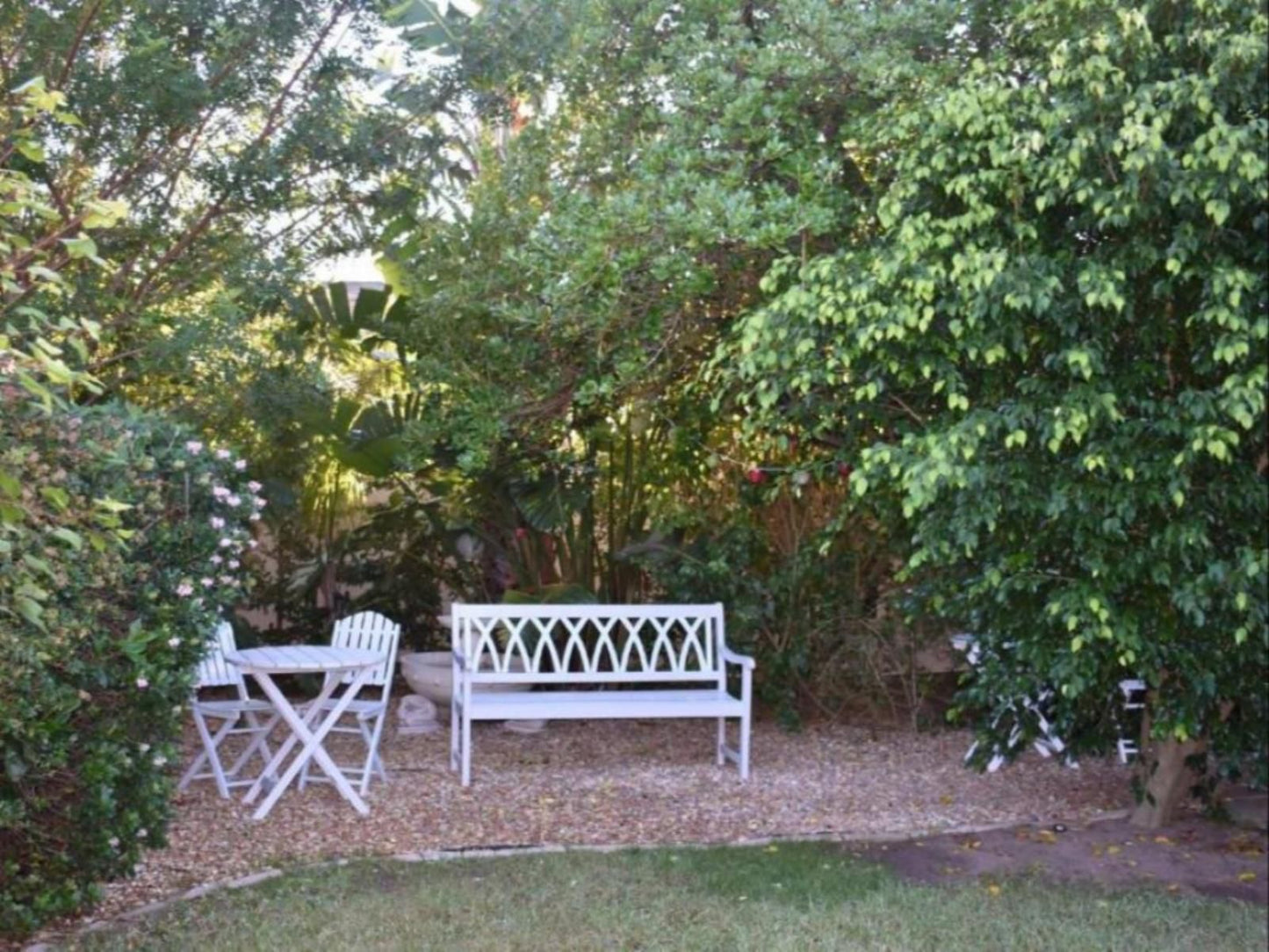Paradiso Guesthouse And Self Catering Cottage Constantia Cape Town Western Cape South Africa Plant, Nature, Tree, Wood, Garden