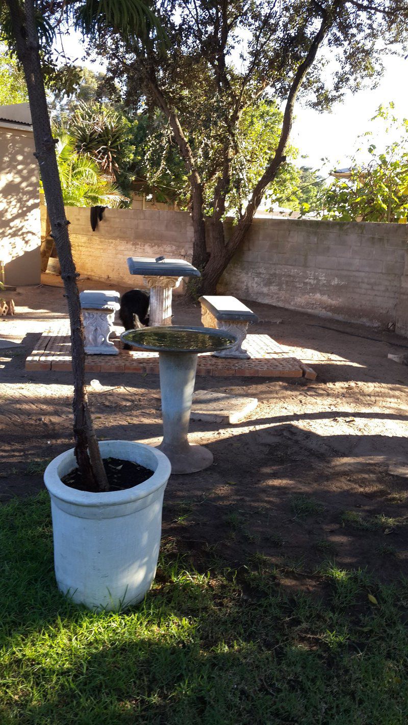 Parc 10 Accommodation Vredenburg Western Cape South Africa Cat, Mammal, Animal, Pet