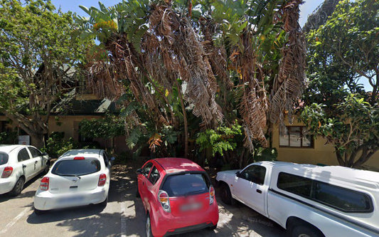 Park House Lodge Mossel Bay Central Mossel Bay Western Cape South Africa House, Building, Architecture, Palm Tree, Plant, Nature, Wood, Car, Vehicle