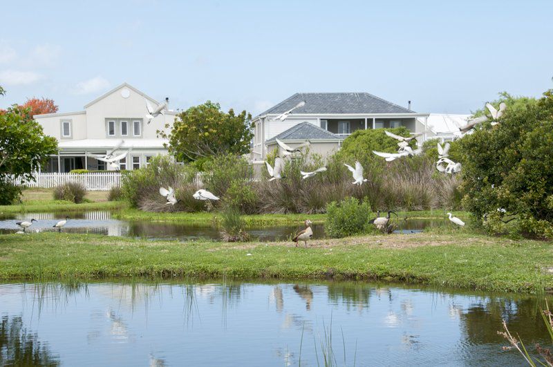 Parklands Thesen Island Knysna Western Cape South Africa Complementary Colors, House, Building, Architecture