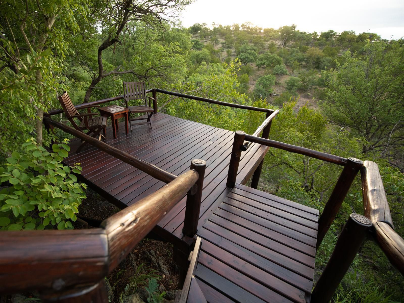 Parsons Hilltop Safari Camp Hoedspruit Limpopo Province South Africa 