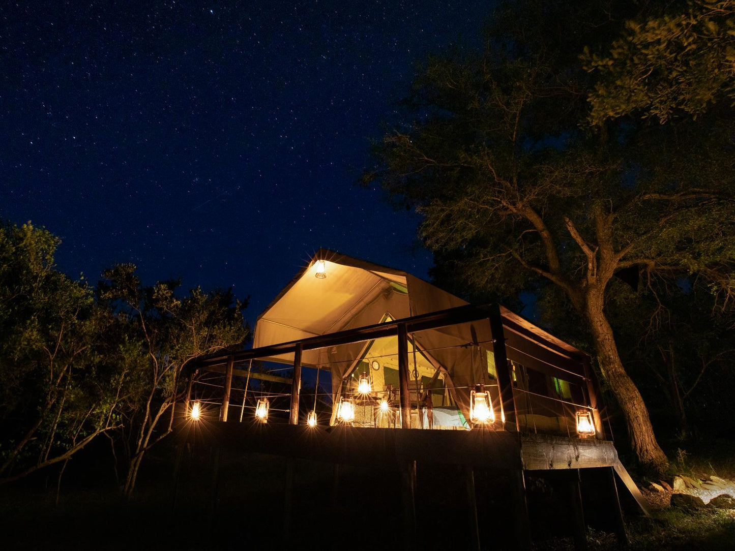 Guinea fowl Classic Tent @ Parsons Hilltop Safari Camp