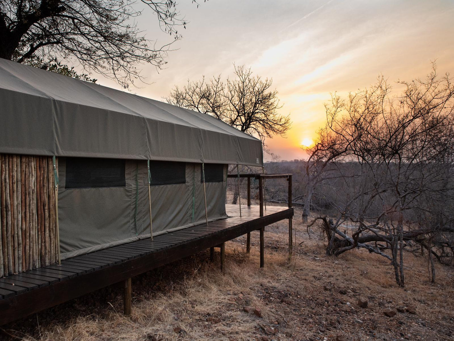 Guinea fowl Classic Tent @ Parsons Hilltop Safari Camp