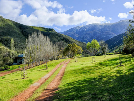 Pat Busch Mountain Reserve Robertson Western Cape South Africa Complementary Colors, Mountain, Nature, Highland