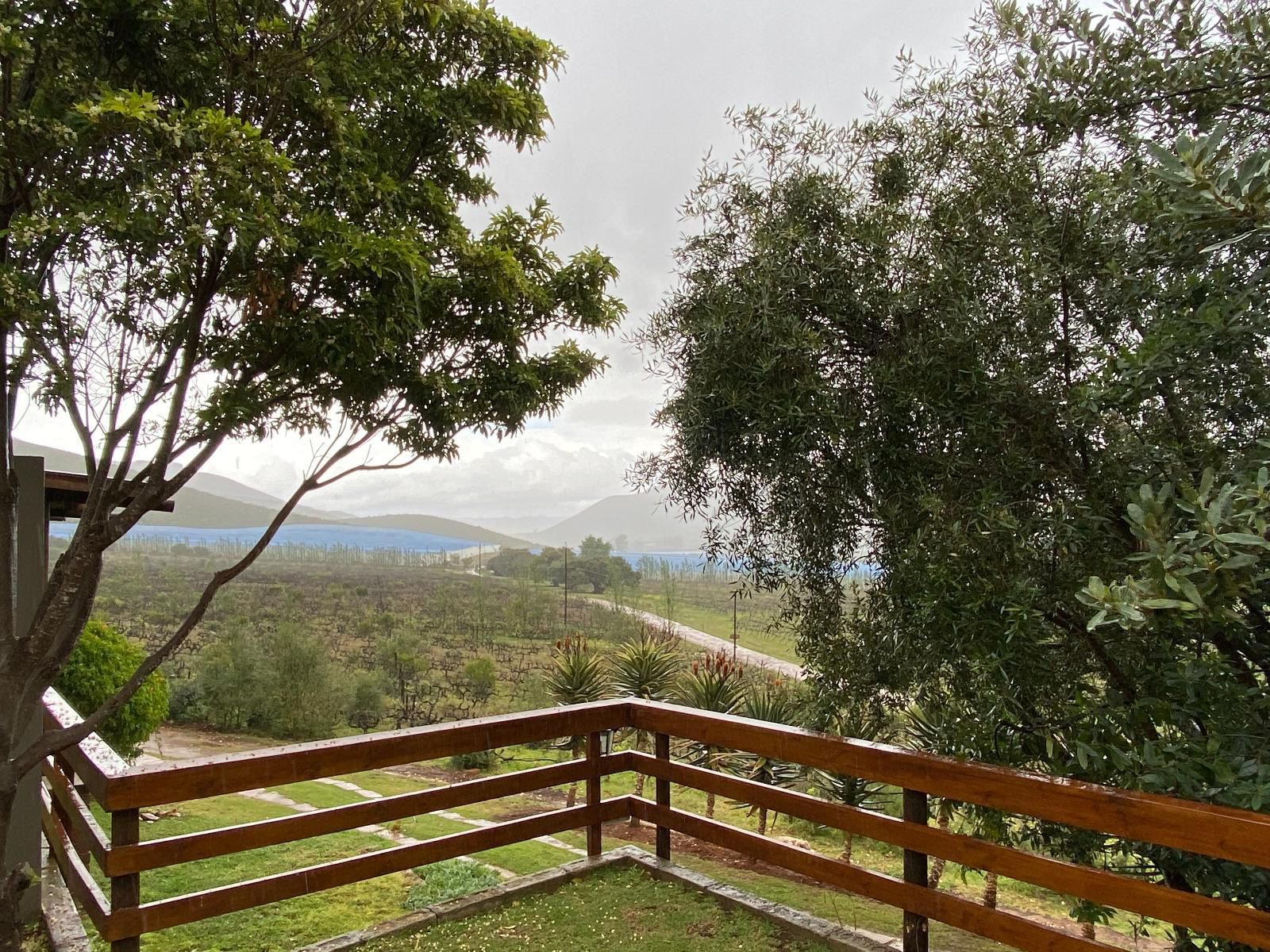 Pat Busch Mountain Reserve Robertson Western Cape South Africa Tree, Plant, Nature, Wood