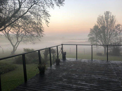 Fog, Nature, Pathways Country Yoga Retreat, Eston, Eston