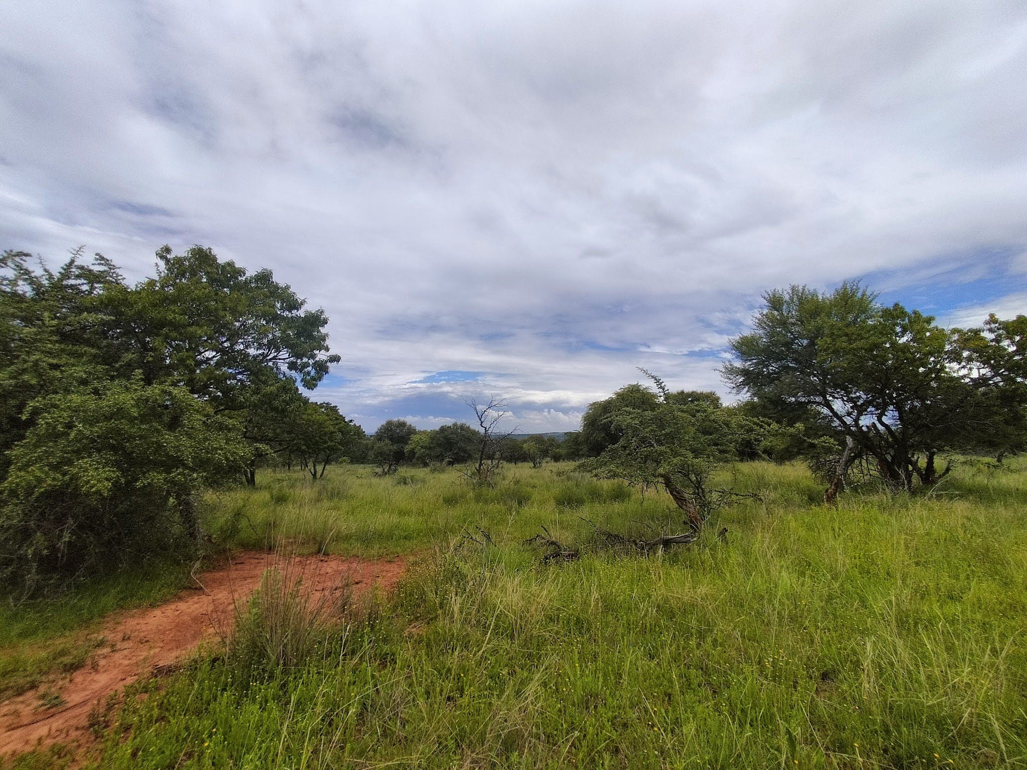 Patrys Paradys Maanhaarrand North West Province South Africa Complementary Colors, Lowland, Nature