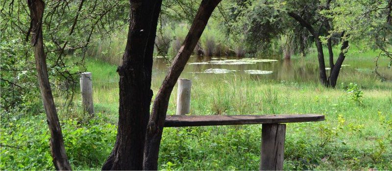 Paulandi Leeupoort Leeupoort Vakansiedorp Limpopo Province South Africa River, Nature, Waters, Tree, Plant, Wood