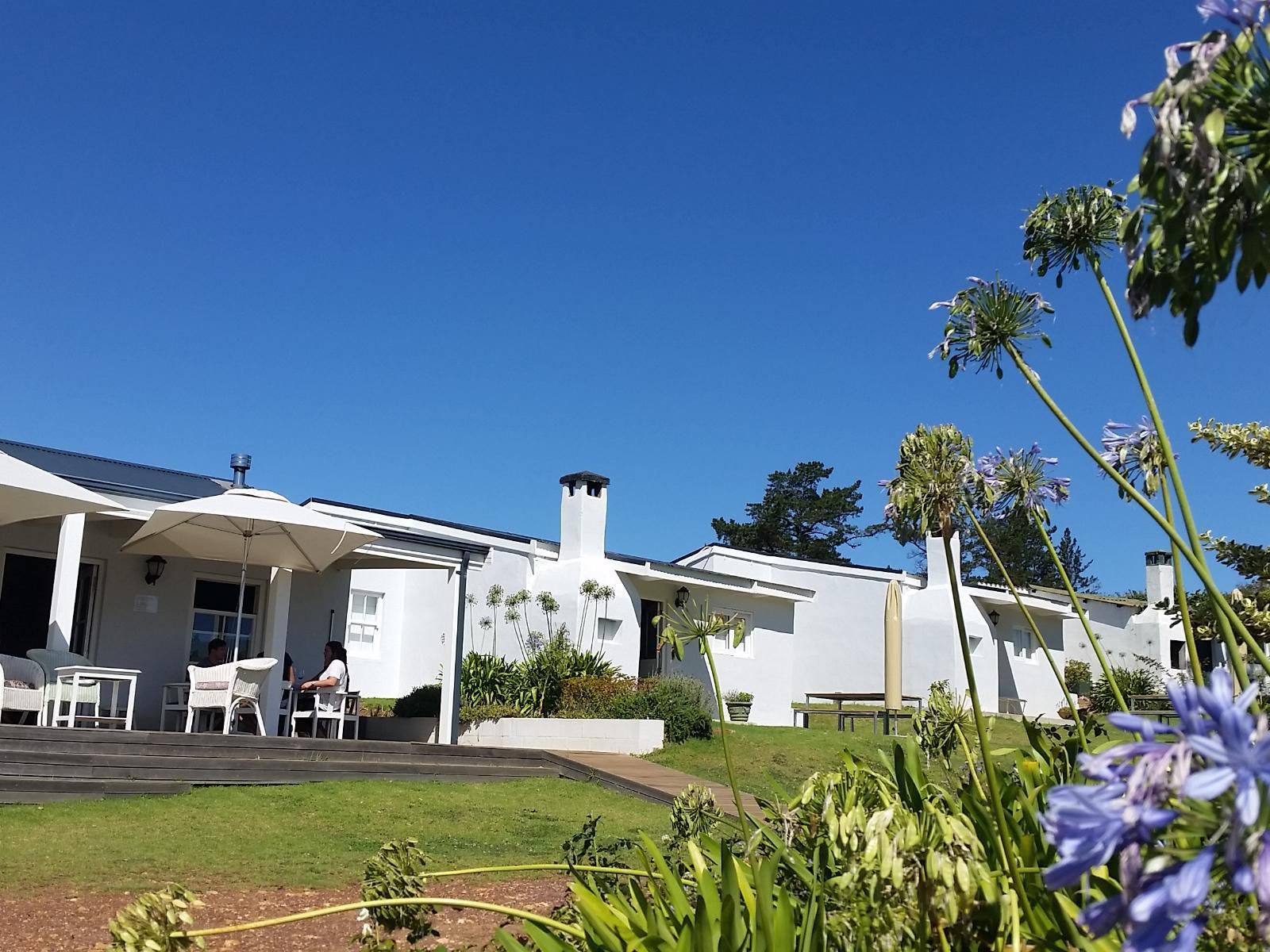 Paul Wallace Wines And Guest Cottages Elgin Western Cape South Africa Complementary Colors, House, Building, Architecture, Palm Tree, Plant, Nature, Wood