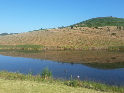 Paul Wallace Wines And Guest Cottages Elgin Western Cape South Africa Complementary Colors, Field, Nature, Agriculture, Lake, Waters, Highland