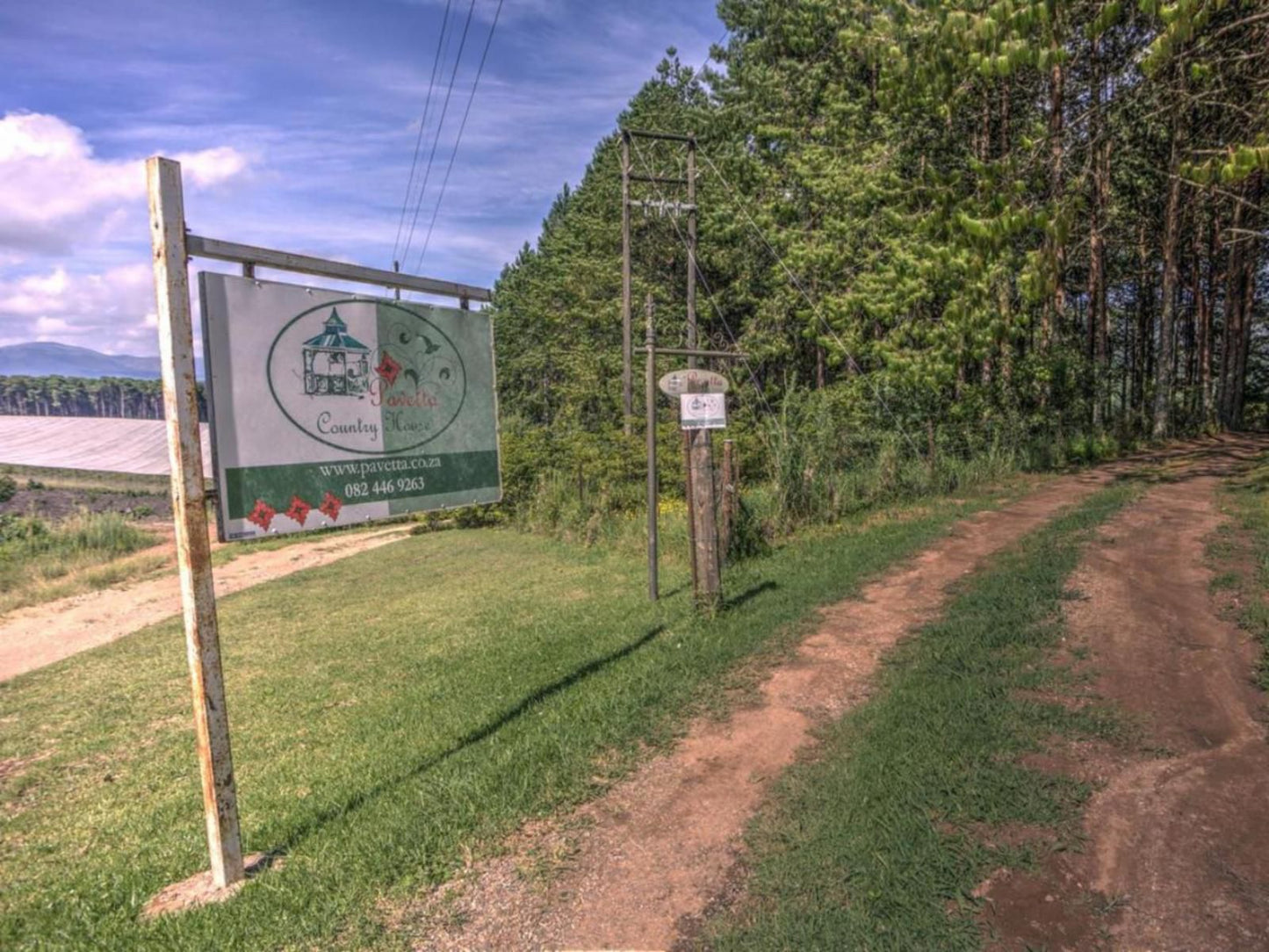 Pavetta Country House Magoebaskloof Limpopo Province South Africa Forest, Nature, Plant, Tree, Wood, Sign